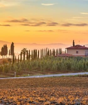 A scenic view of a house surrounded by cypress trees in a Tuscan landscape at sunrise. - Olive Oil Times
