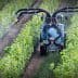 Tractor equipped with spraying apparatus working in a vineyard with rows of grapevines. - Olive Oil Times