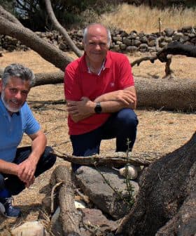 Two men kneeling beside a tree stump in a dry outdoor setting with fallen branches. - Olive Oil Times