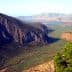 Panoramic view of the Amfissa olive grove with mountains in the background. - Olive Oil Times