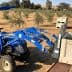 A blue tractor with a loader attachment being operated in an olive orchard. - Olive Oil Times