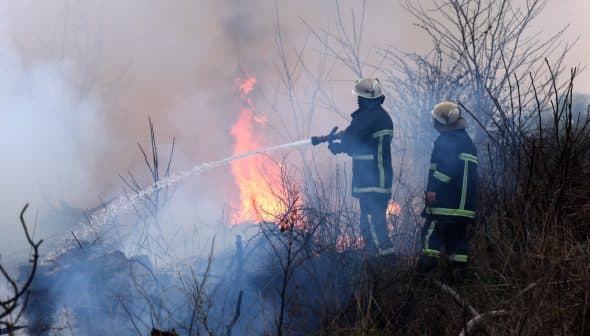 Two firefighters using hoses to extinguish flames during a wildfire in a wooded area. - Olive Oil Times