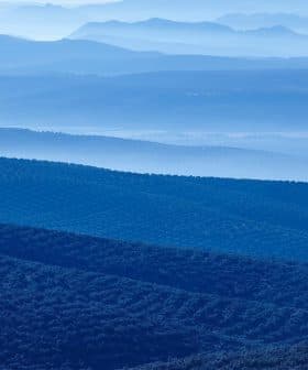 Layered blue mountain landscape featuring rolling hills and valleys in various shades of blue. - Olive Oil Times
