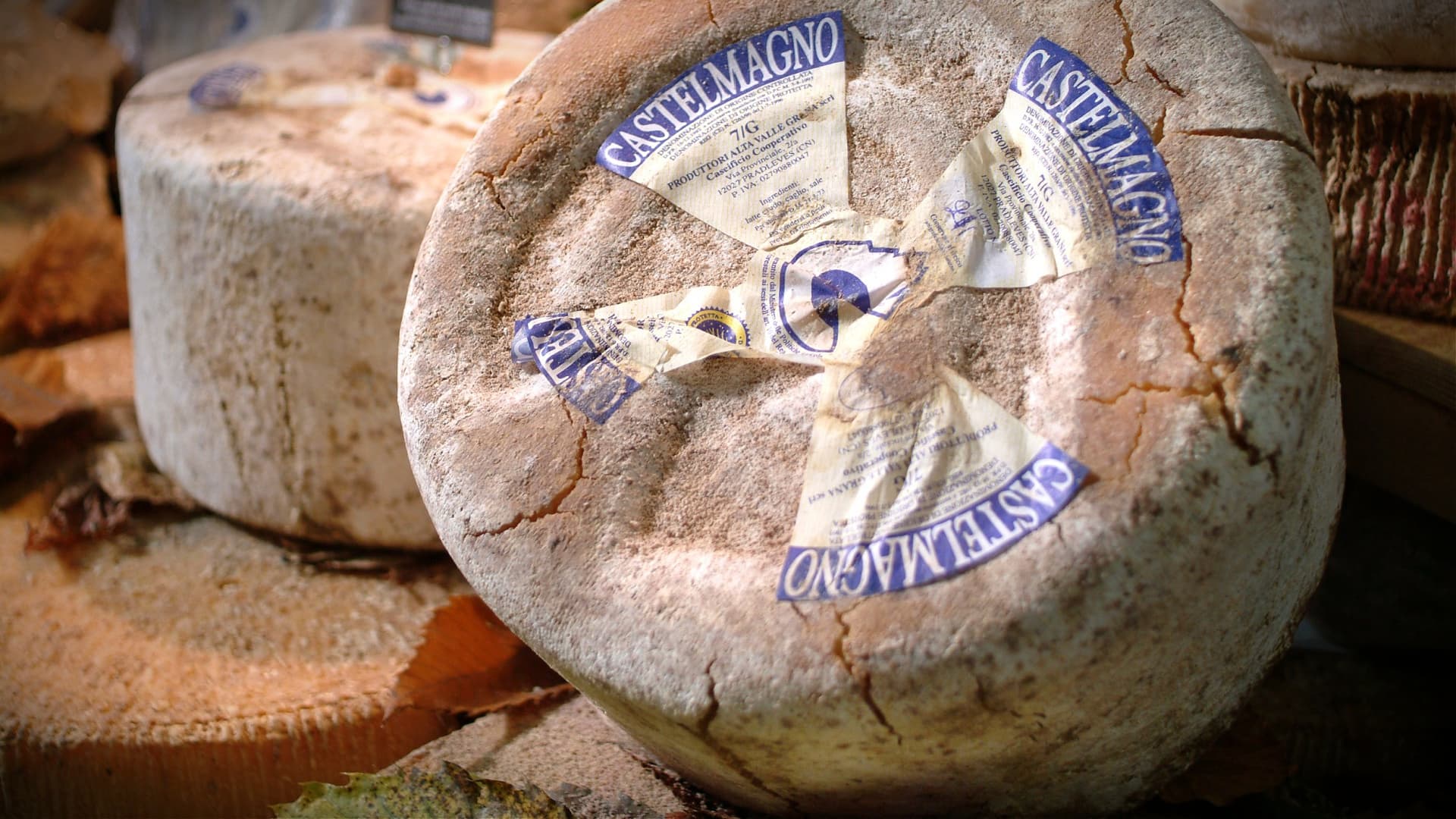 Round wheel of Castelmagno cheese with a blue and white label on a wooden surface. - Olive Oil Times