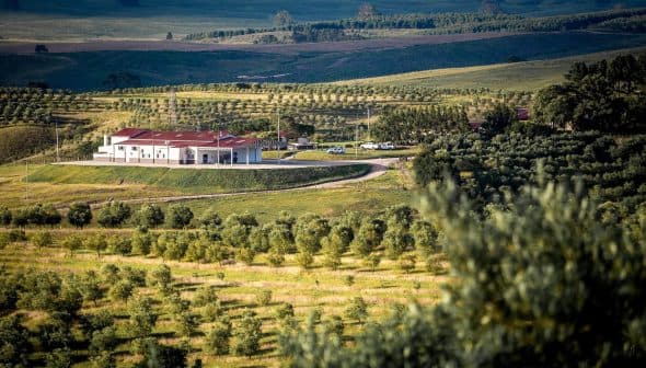 Olive oil production facility surrounded by olive trees and rolling hills in a rural area. - Olive Oil Times