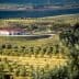 Olive oil production facility surrounded by olive trees and rolling hills in a rural area. - Olive Oil Times