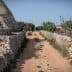 Dirt path flanked by stone walls leading through an agricultural area with greenery. - Olive Oil Times