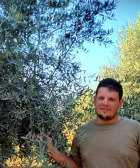 A man standing next to olive trees in an outdoor setting, with green foliage in the background. - Olive Oil Times