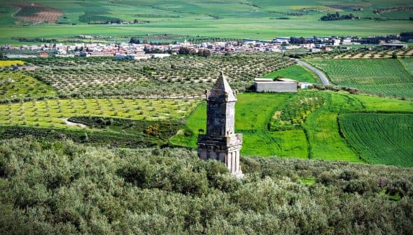 An ancient stone tower stands amidst olive groves and green fields in a rural landscape. - Olive Oil Times