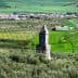 An ancient stone tower stands amidst olive groves and green fields in a rural landscape. - Olive Oil Times