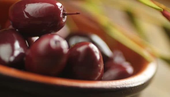 A close-up view of dark olives in a brown bowl with olive branches in the background. - Olive Oil Times