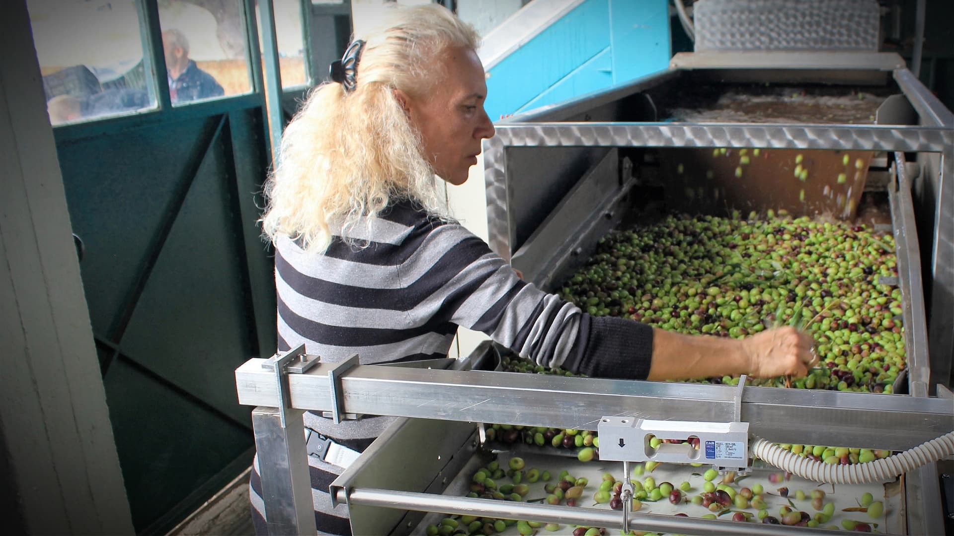 Woman with long blonde hair sorting green and black olives in a processing facility. - Olive Oil Times