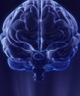 3D rendered image of a human brain with a blue wireframe design against a dark background. - Olive Oil Times