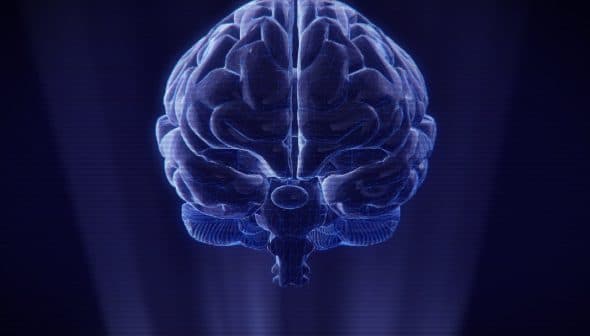 3D rendered image of a human brain with a blue wireframe design against a dark background. - Olive Oil Times