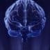 3D rendered image of a human brain with a blue wireframe design against a dark background. - Olive Oil Times