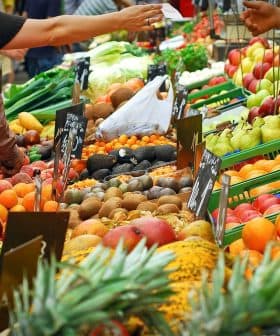 A market stall displaying a wide assortment of fresh fruits including apples, oranges, and avocados. - Olive Oil Times