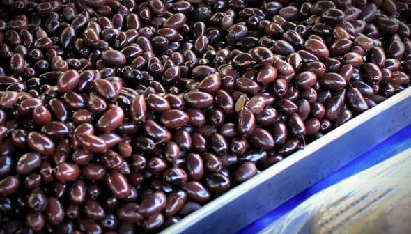 A close-up view of a tray filled with dark black olives arranged in a uniform manner. - Olive Oil Times