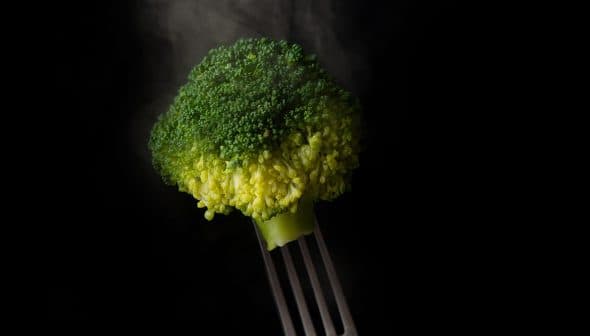 A piece of steamed broccoli held by a fork against a dark background with steam rising. - Olive Oil Times