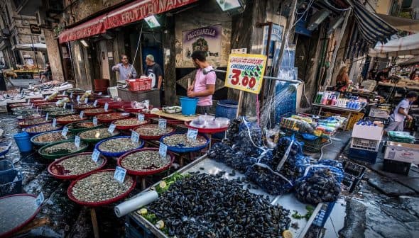A seafood market displaying various types of shellfish and fish in colorful containers. - Olive Oil Times