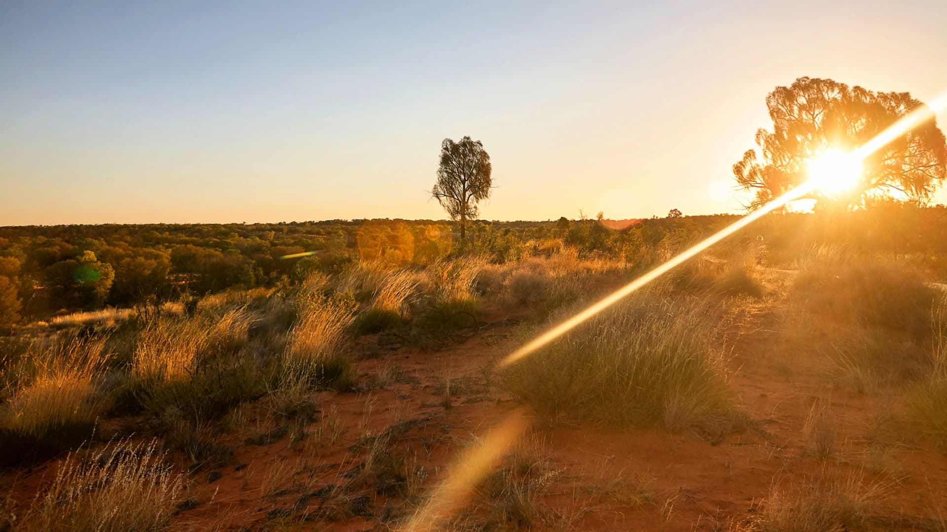 Sunset illuminating a landscape with sparse vegetation and distant trees in Australia. - Olive Oil Times