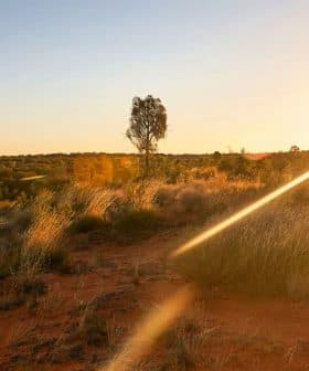 Sunset illuminating a landscape with sparse vegetation and distant trees in Australia. - Olive Oil Times