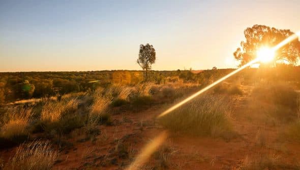 Sunset illuminating a landscape with sparse vegetation and distant trees in Australia. - Olive Oil Times