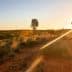 Sunset illuminating a landscape with sparse vegetation and distant trees in Australia. - Olive Oil Times