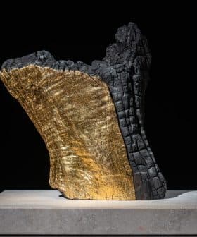 Sculpture featuring a textured black surface with a gold section, displayed on a light base. - Olive Oil Times