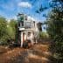Olive harvesting machine positioned among olive trees in a grove. - Olive Oil Times
