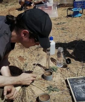 Individual wearing a cap analyzing soil samples in a field with equipment and containers nearby. - Olive Oil Times