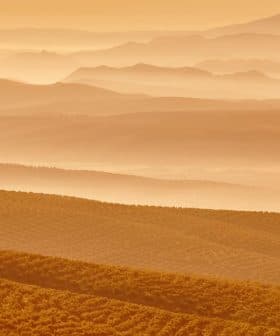Layered landscape of rolling hills and valleys in warm orange tones during sunset. - Olive Oil Times