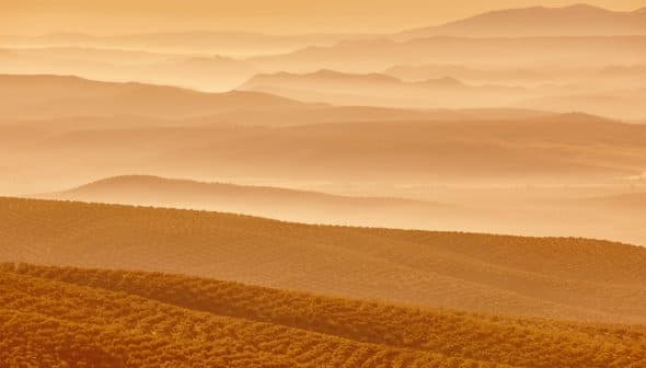 Layered landscape of rolling hills and valleys in warm orange tones during sunset. - Olive Oil Times