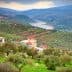 Scenic view of olive groves on hillsides with a river winding through the valley. - Olive Oil Times