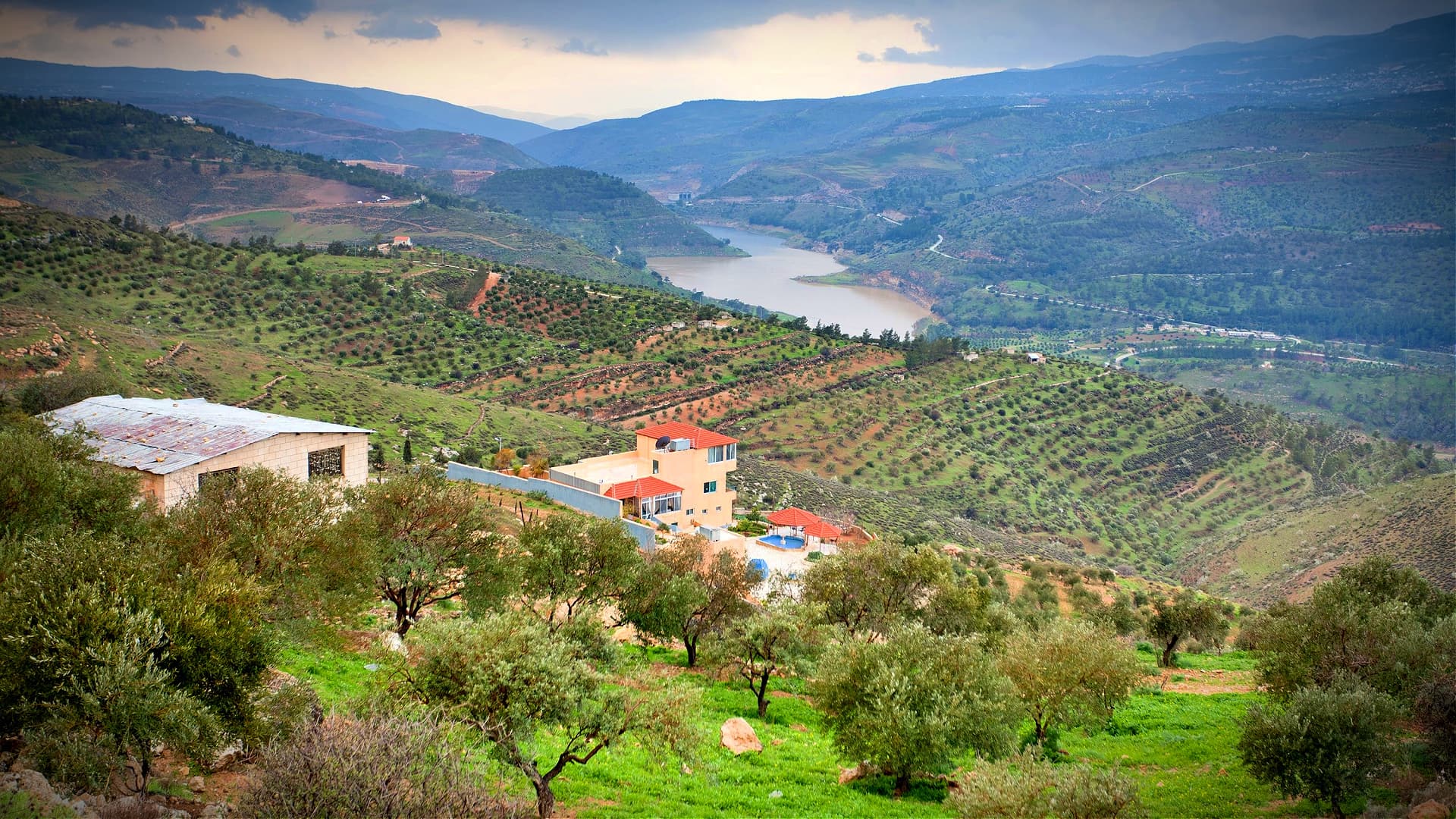 Scenic view of olive groves on hillsides with a river winding through the valley. - Olive Oil Times