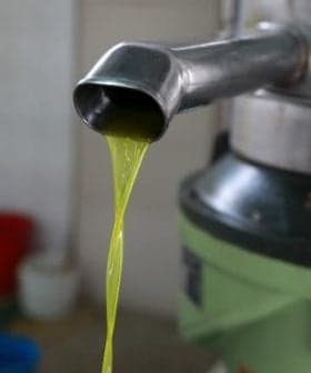 Stream of fresh olive oil flowing from a metal spout during the extraction process. - Olive Oil Times