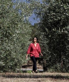 Woman in a red blouse walking between rows of olive trees in an olive grove. - Olive Oil Times