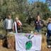Four individuals speaking at an outdoor event with an olive-themed banner in front of them. - Olive Oil Times