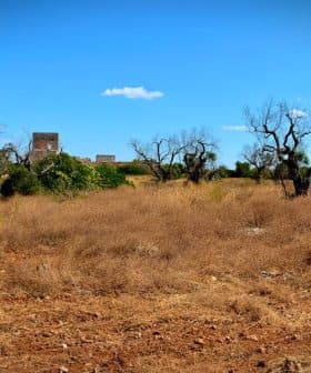 A dry landscape featuring sparse vegetation and distant ruins under a clear blue sky. - Olive Oil Times