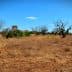 A dry landscape featuring sparse vegetation and distant ruins under a clear blue sky. - Olive Oil Times
