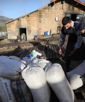 Two workers examining large bags of material in a rural setting with a building in the background. - Olive Oil Times