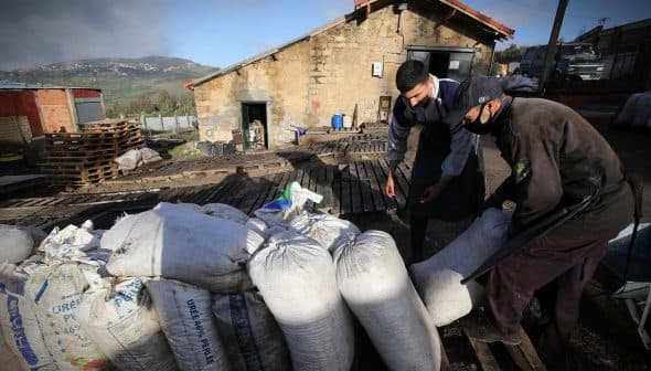 Two workers examining large bags of material in a rural setting with a building in the background. - Olive Oil Times
