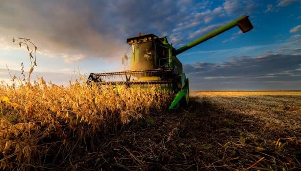 Green combine harvester working in a soybean field during sunset with clouds in the sky. - Olive Oil Times