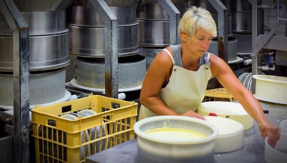 Woman in an apron handling cheese molds in a cheese production facility. - Olive Oil Times