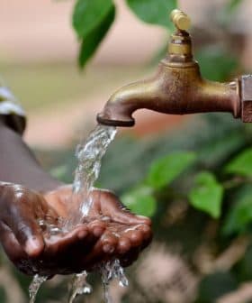 A person washing hands under a flowing tap with water in an outdoor setting. - Olive Oil Times