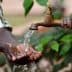 A person washing hands under a flowing tap with water in an outdoor setting. - Olive Oil Times