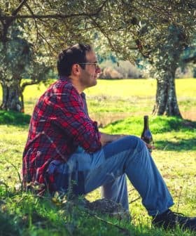 A man in a red plaid shirt sitting on a rock under an olive tree, holding a bottle. - Olive Oil Times