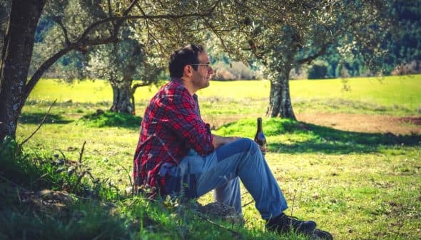 A man in a red plaid shirt sitting on a rock under an olive tree, holding a bottle. - Olive Oil Times