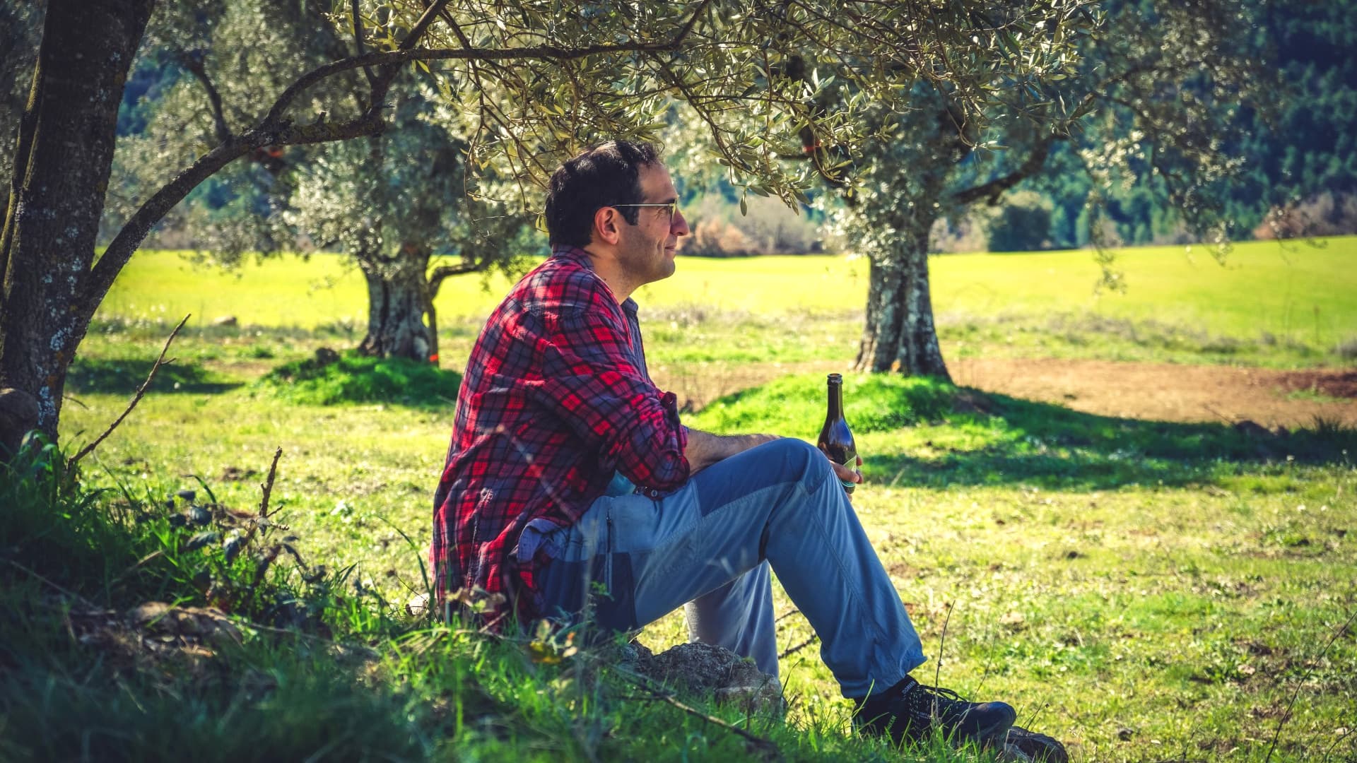 A man in a red plaid shirt sitting on a rock under an olive tree, holding a bottle. - Olive Oil Times