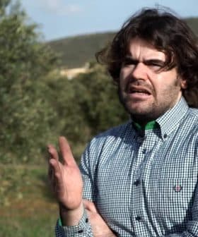 Man wearing a checkered shirt gesturing while standing in an olive grove. - Olive Oil Times