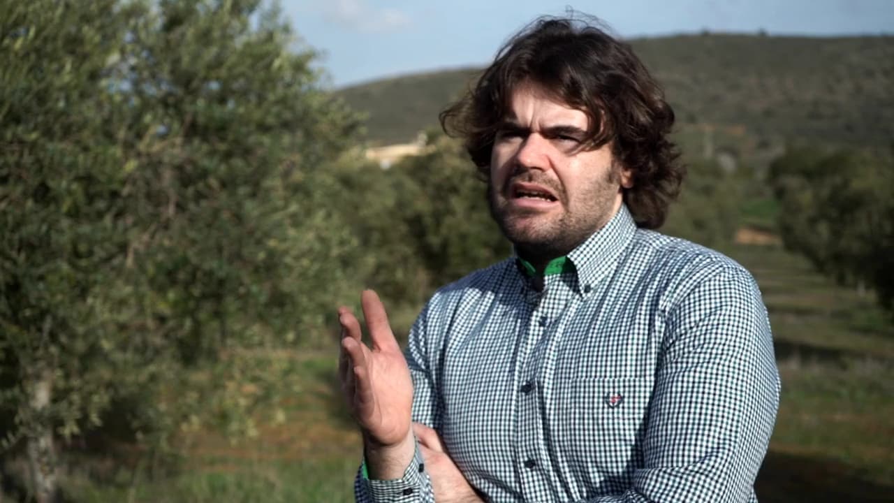 Man wearing a checkered shirt gesturing while standing in an olive grove. - Olive Oil Times